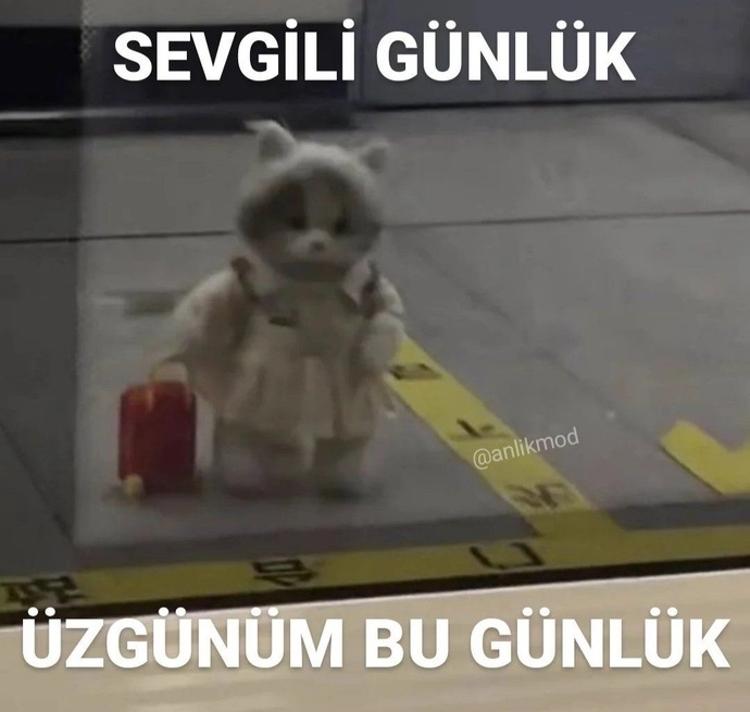 Bugün günlüğünüze ne yazacaksınız?