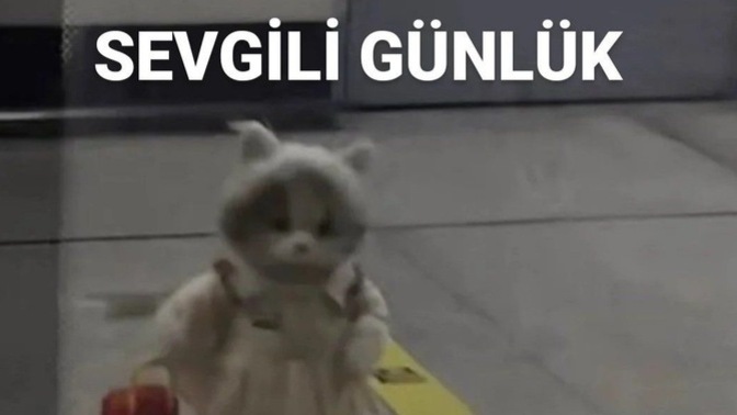 Bugün günlüğünüze ne yazacaksınız?