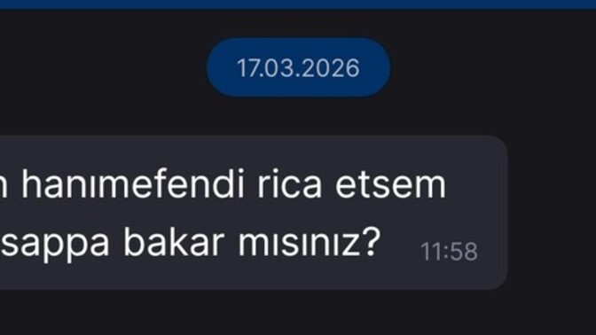 Yazmak isteyen bir şekilde yazıyor mu cidden?