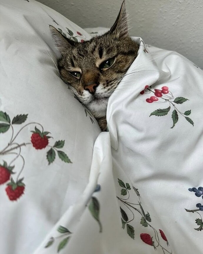 Hiç gece yarısı uyanıp susuzluktan can cekistiginiz oldu mu 😂?