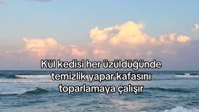 Üzüldüğünüz zaman genelde ne yaparsınız?