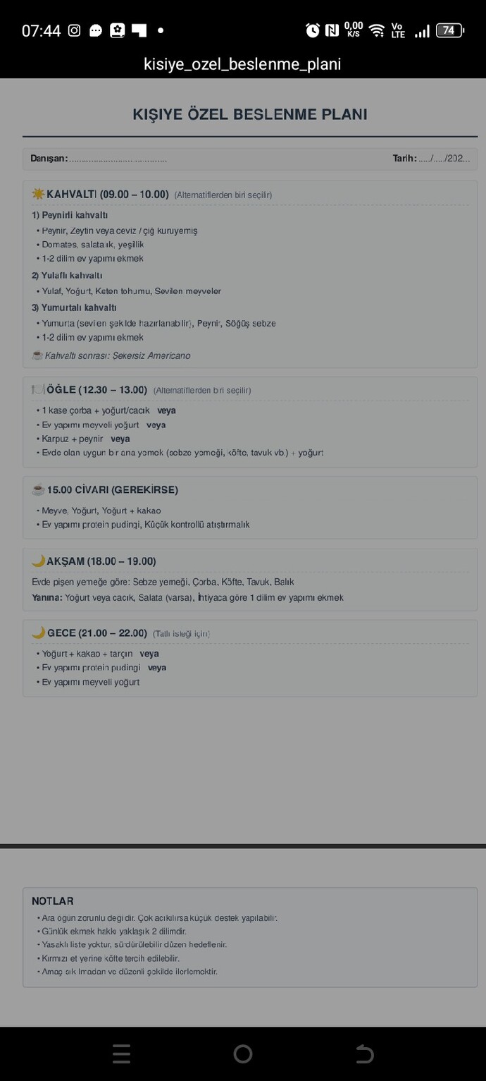 Yapay zeka ile hazırladığım esnek kişisel diyet listem sizce nasıl, işe yarar mı?