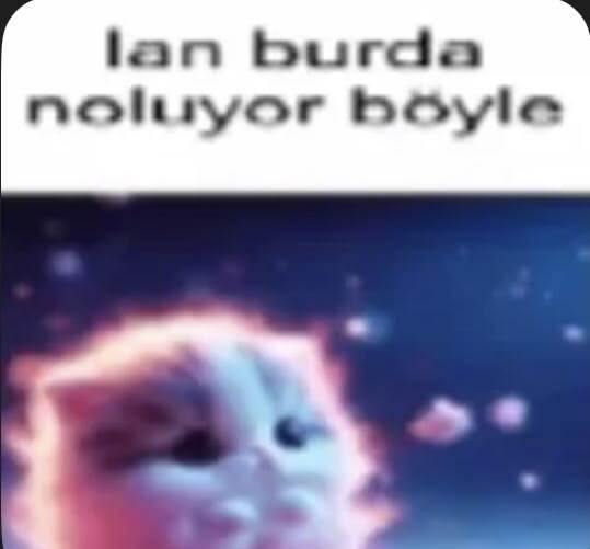 Karı kaşınmışta alayına dövmek kısmı doğru değil.