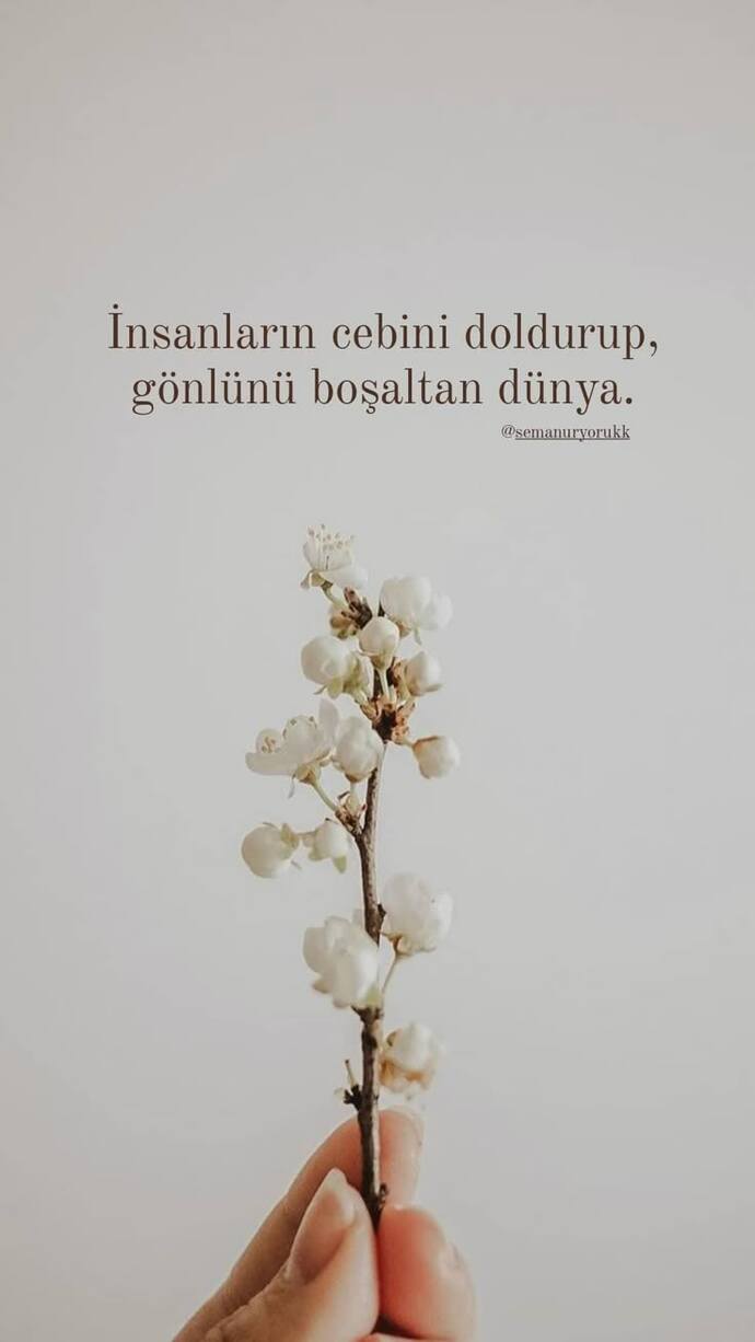 Nasıl insanlar seversiniz?