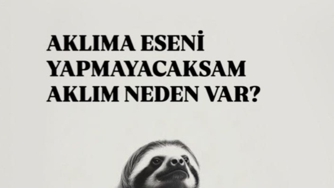 Aklınıza her eseni yapıyor musunuz?