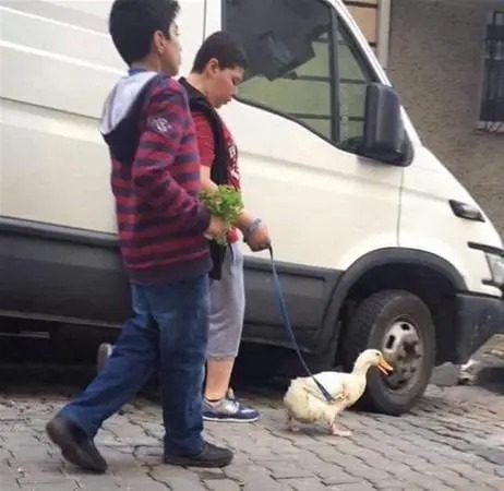 Canınız yansa, can yakacağınız günü bekler miydiniz?