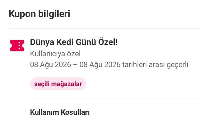Bugün kediler günüymüş beslediğiniz kediniz var mı?