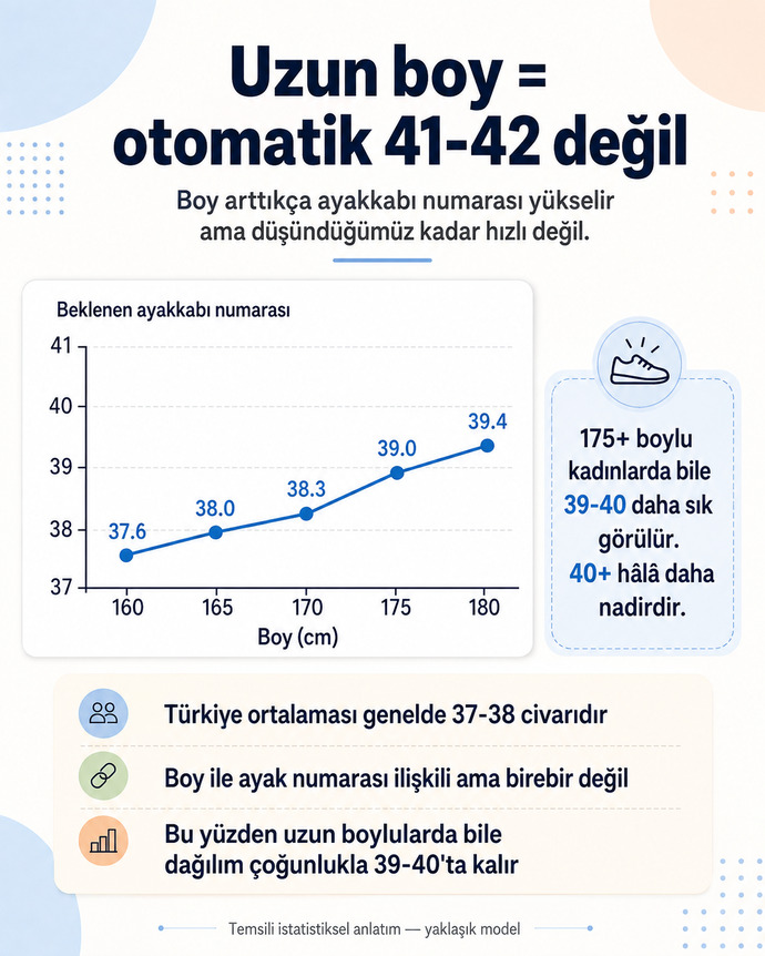 Uzun boylu kadınların ayakkabı numarası neden sandığımız kadar büyümüyor?