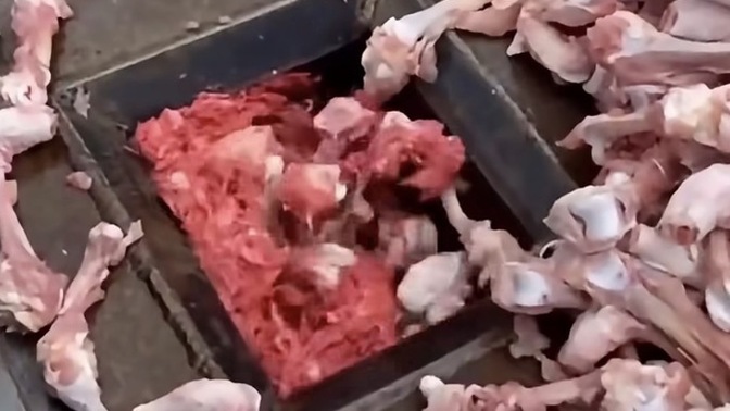 Sucuk yerine hayvan yemi yedirdiklerini biliyor muydunuz?