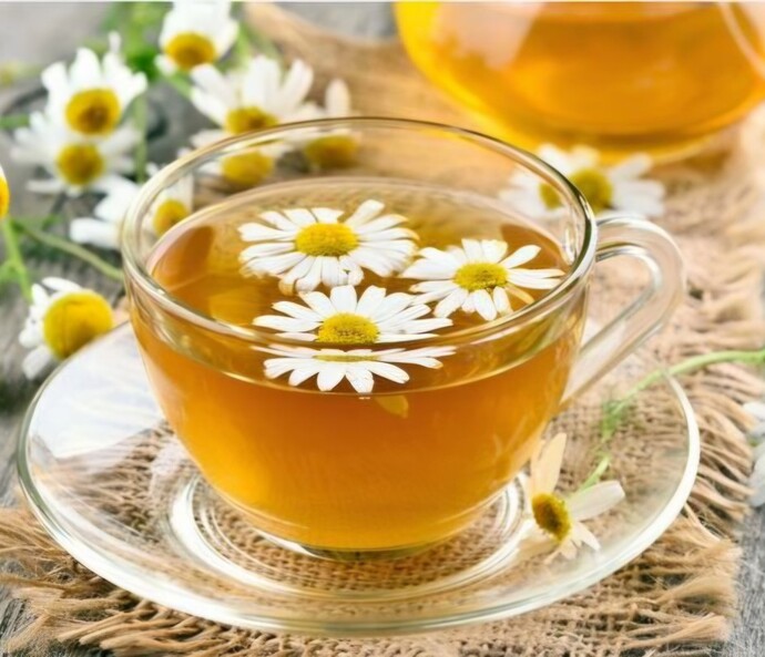 Papatya çayı içiyor musunuz🌼?