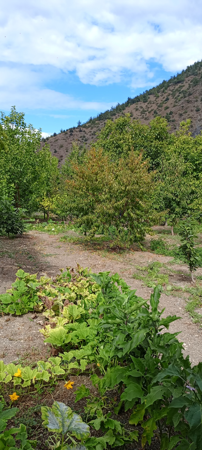 Siz de köye gitmeyi, köy hayatını ve o sakin ortamı seviyor musunuz?
