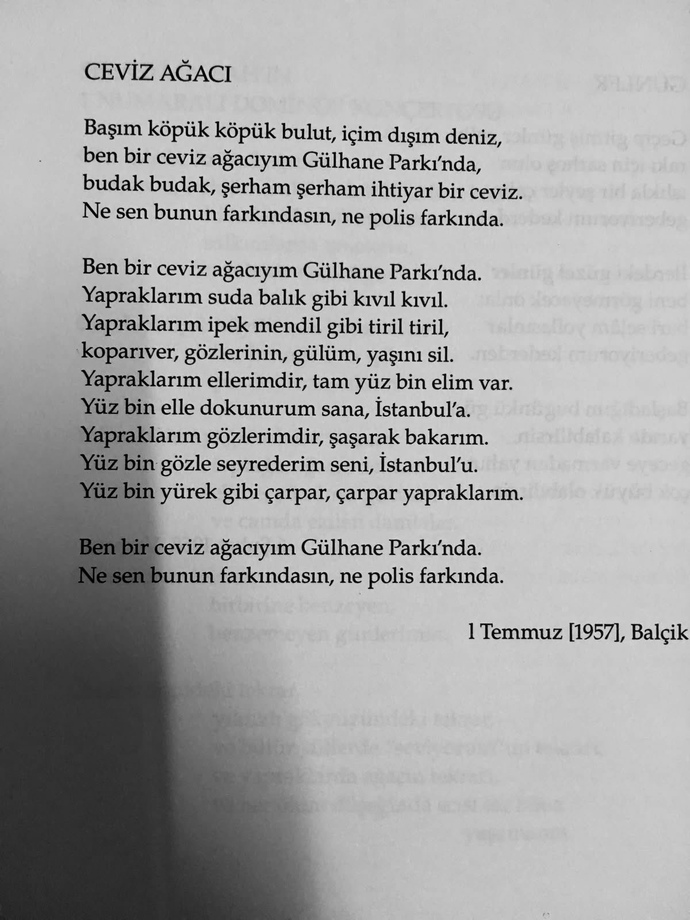 Ceviz Ağacı Nâzım Hikmet’in şiiri olarak mı kalmalıydı, yoksa Cem Karaca’nın yorumuyla şarkıya dönüşmesi esere değer mi kattı?