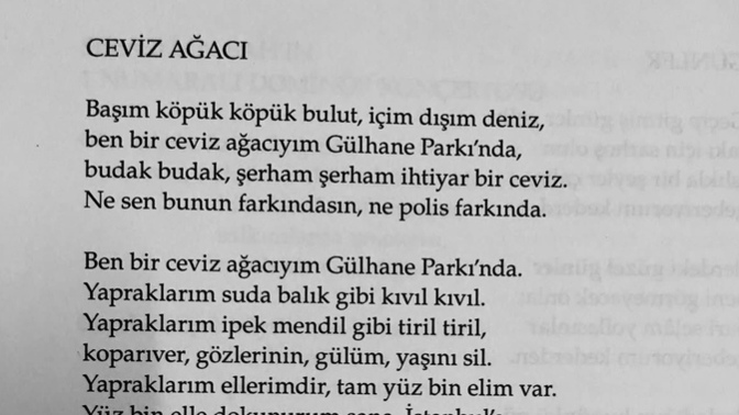 Ceviz Ağacı Nâzım Hikmet’in şiiri olarak mı kalmalıydı, yoksa Cem Karaca’nın yorumuyla şarkıya dönüşmesi esere değer mi kattı?