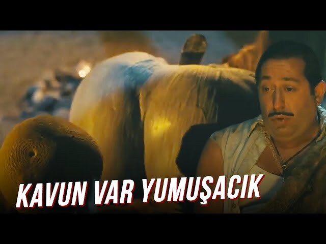 Bugün Dünya Kavun Günü! Kavun seçmek için KS'den manava kimle gitmek isterdin?