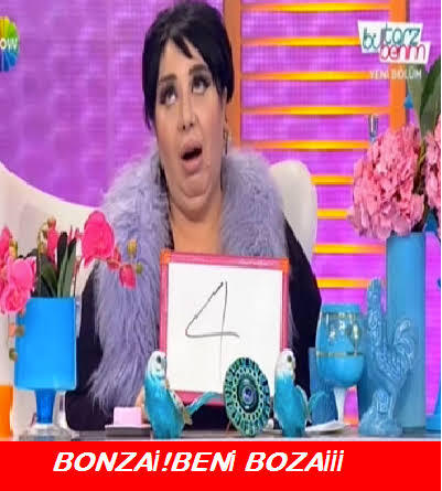 Sitedeki kurgu hikayelere puanınız kaç?