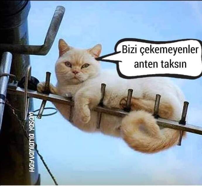Sizi çekemeyenler mos mor olsun mu?