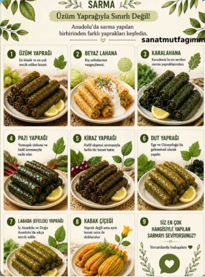 Hangi yapraktan yapılan sarmayı tercih edersiniz?