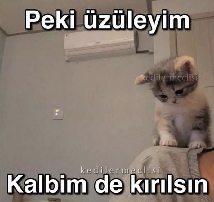 Görücü usulü biriyle evlenir miydin?