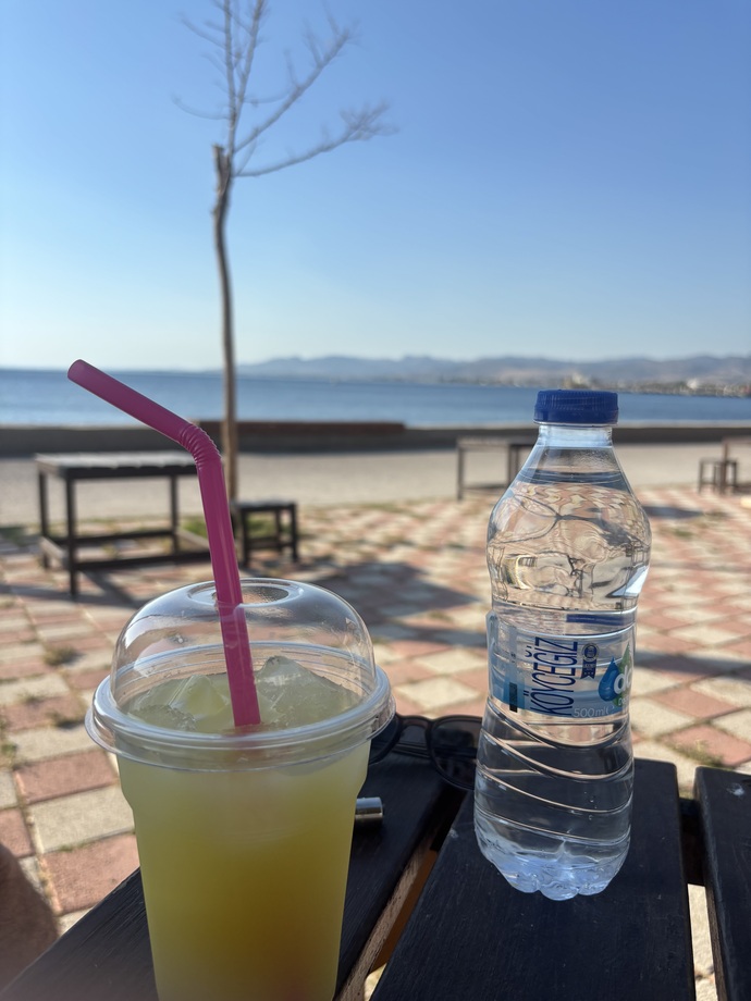 Limonata seviyor musunuz?