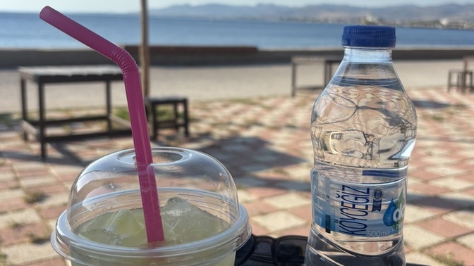 Limonata seviyor musunuz?