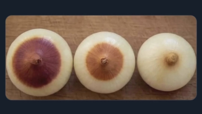Kızlar, Dünyada 3 çeşit soğan var. Siz hangisisiniz?