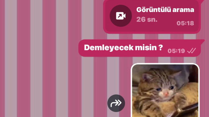 İnatçı biri var mı hayatınızda?