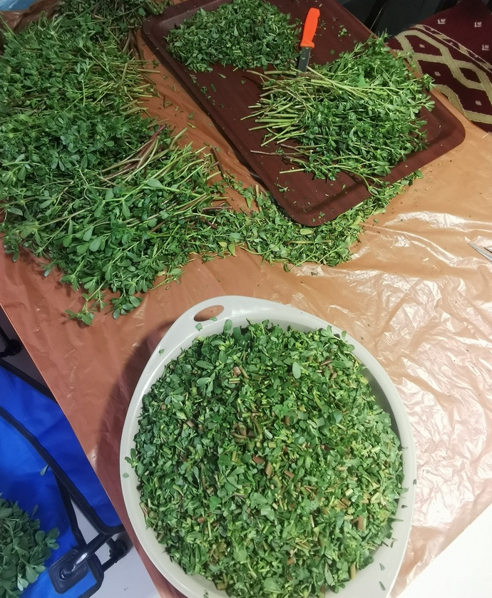 Pirpirim cacığını hiç yediniz mi, sever misiniz (semiz otu cacığı) ?