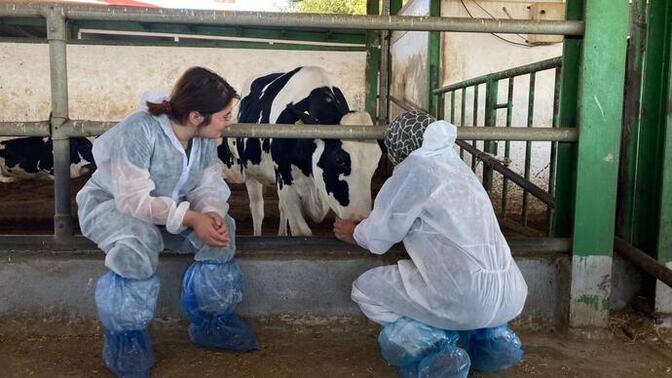 Veteriner fakültesinde rektal muayene yapmazsam sınıfta kalır mıyım?