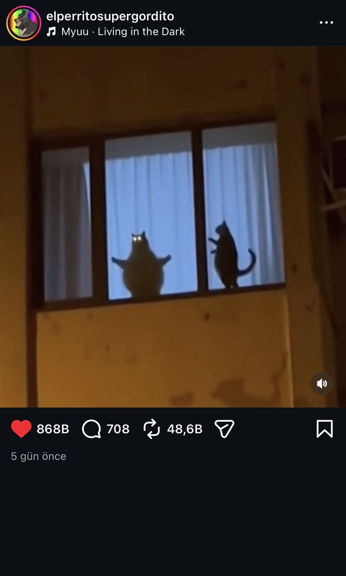 Aşk zeki insanlara göre değil değil mi?