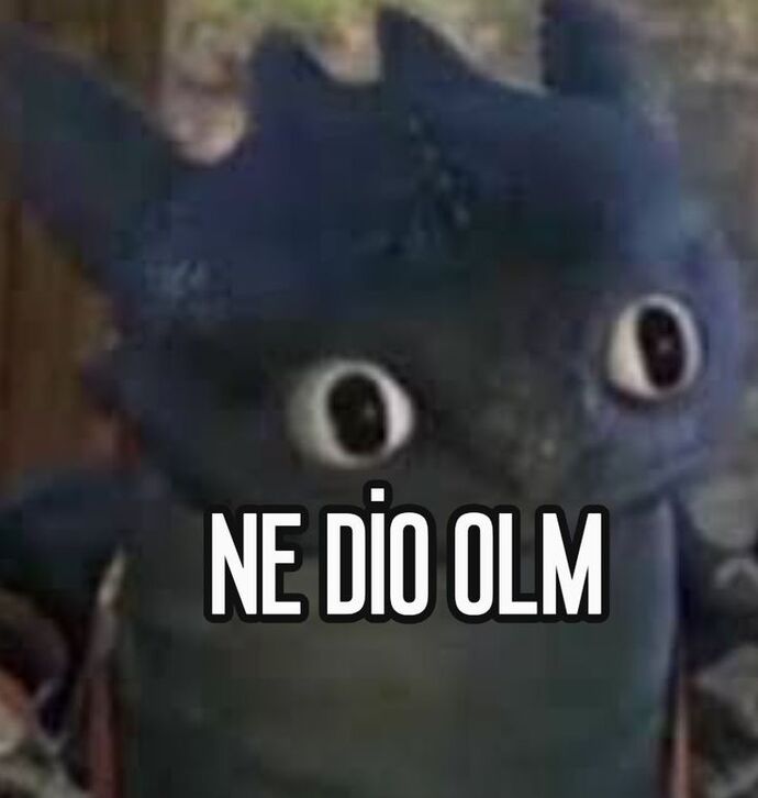 Karıya bak