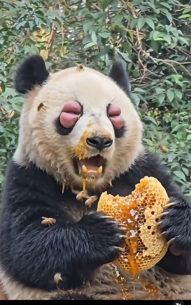 Bal ile aranız nasıldır, gerçekten bal sever misiniz?