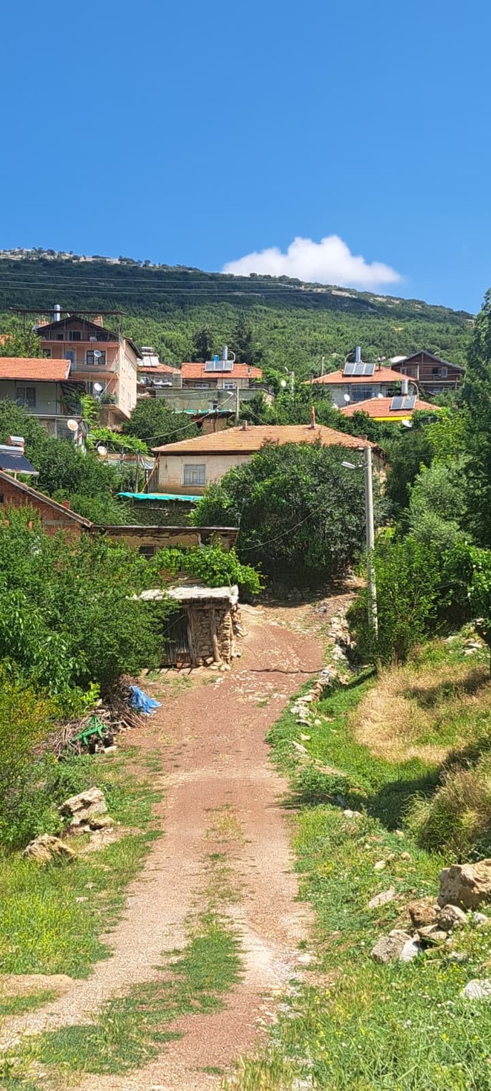 Hiç köye gittiniz mi?