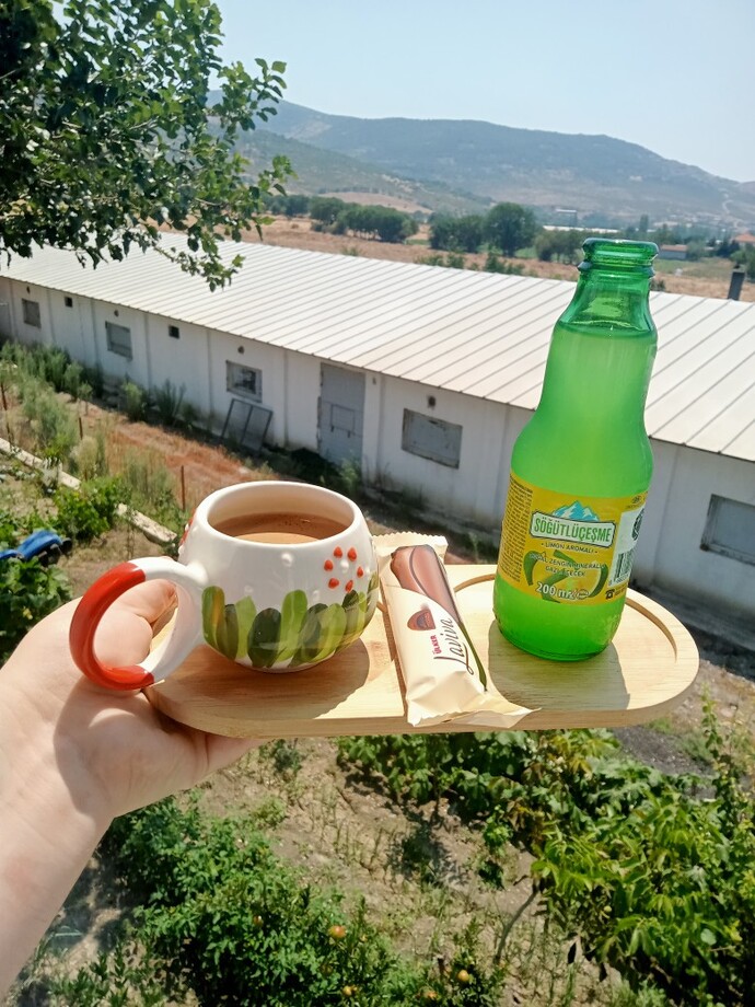 Günü kahve molası kimler başlattı, bu kahve molası geleneği nasıl ortaya çıktı?