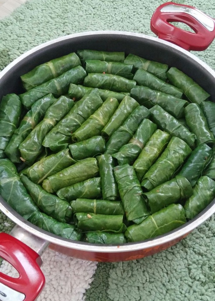 Pazı sarması sever misiniz?