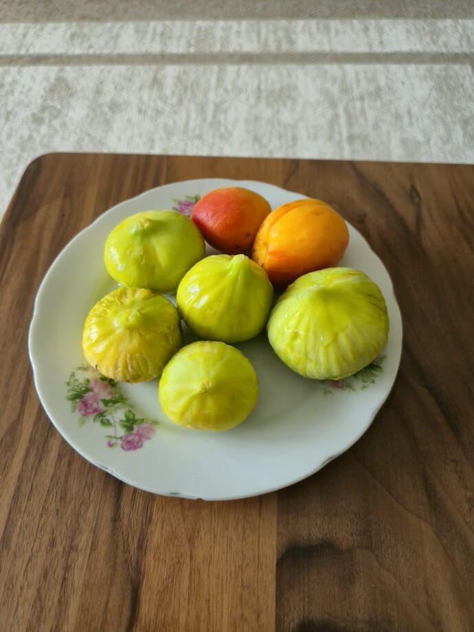 İnciri yaş mı kuru mu seversiniz?