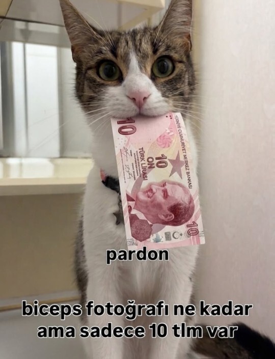 Kas yapanlara bir soru: niyetim zarar vermek değil, atacak fazladan bir biceps var mı?