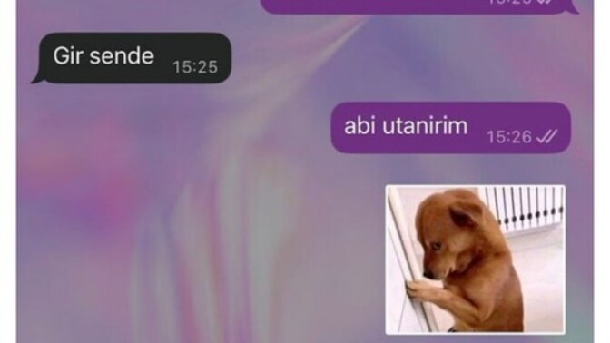 Staj yaptın mı hiç?
