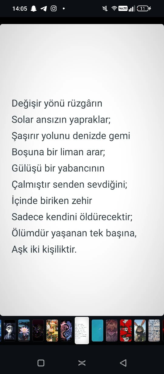Şiirlere merakınız var mı?