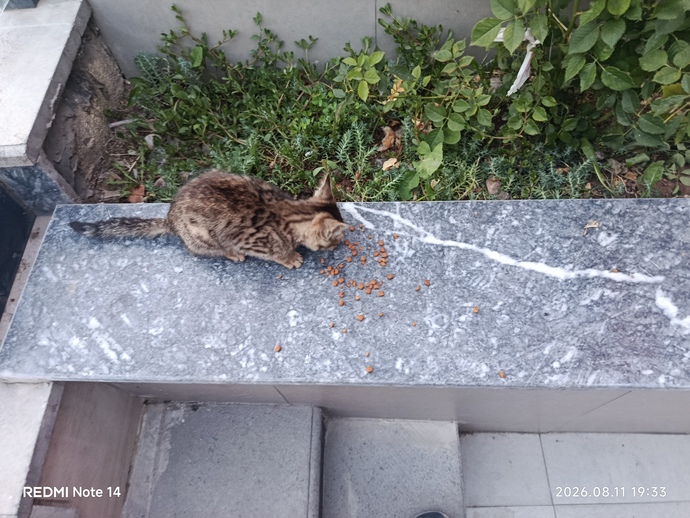 En son ne için gülümsediniz, sizi en son ne mutlu etti?