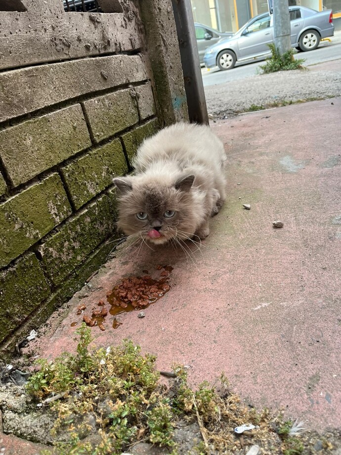 Telefon galerinizdeki en son fotoğraf ne, bizimle paylaşır mısınız?