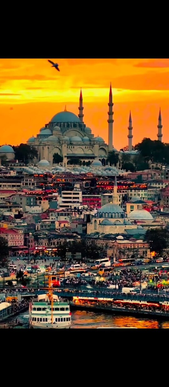 Şehir hayatını bırakıp köyde yaşayabilir misin?