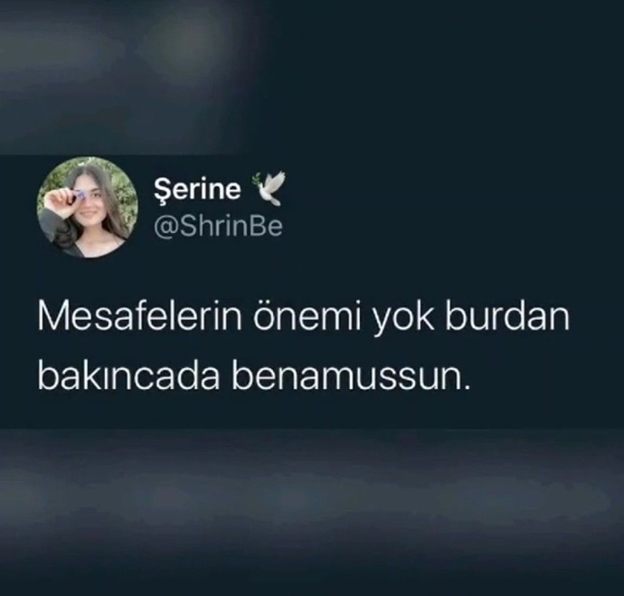 Sitede gerçek aşk çıkar mı?