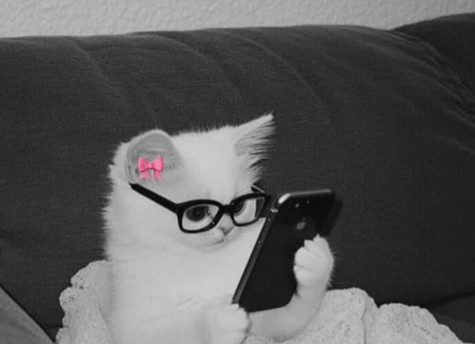 Ersay Üner overthinkleriii😸💅🏻