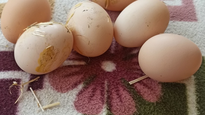 Rahata ermek için zorluk çekmek mutlaka gerekli mi?