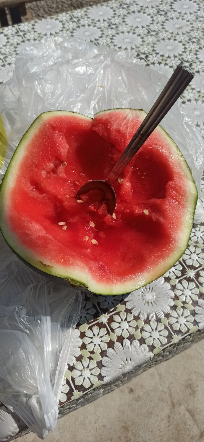 Çekirdeksiz karpuz sever misiniz?