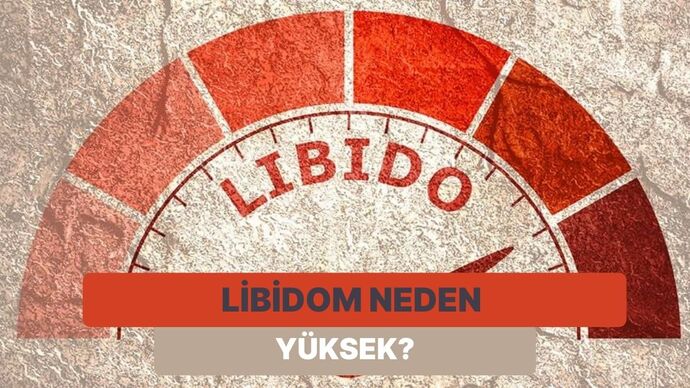 Şu libido sorularını nasıl buluyorsunuz?