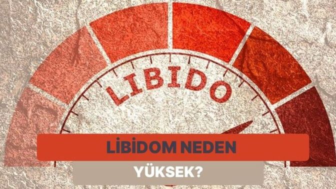 Şu libido sorularını nasıl buluyorsunuz?