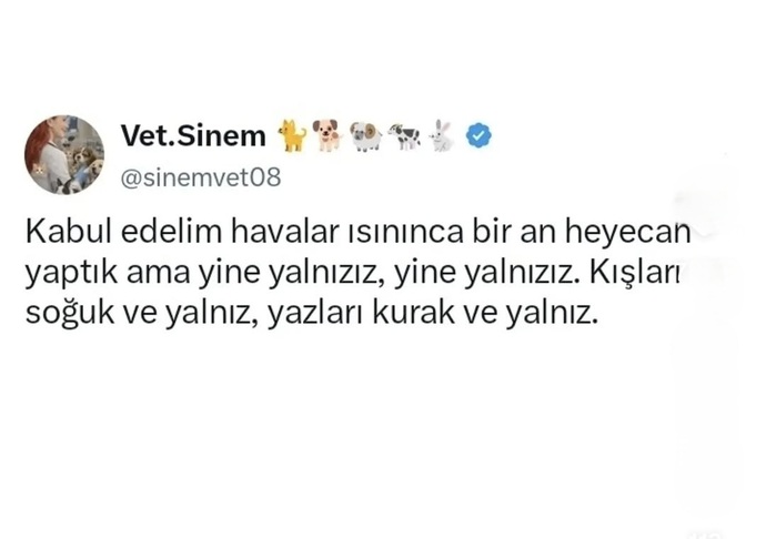 Yaz aşkları bulundu mu?