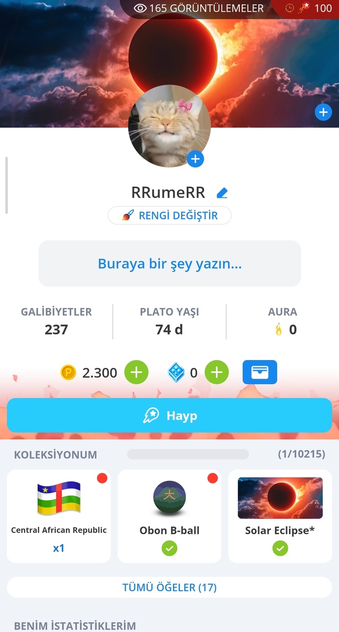 Mobil oyun oynamayı sever misiniz?