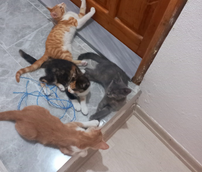 Aşklarım 💝